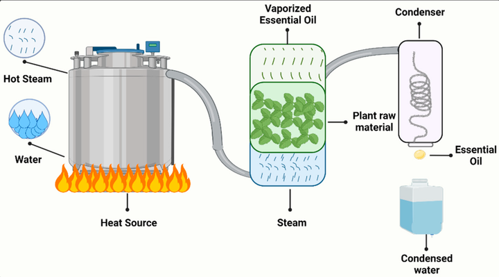 Essential Oil Distillation Units Overview: Key Features and Benefits Explained