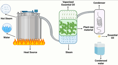 Essential Oil Distillation Units Overview: Key Features and Benefits Explained